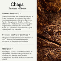 Gummies au Chaga