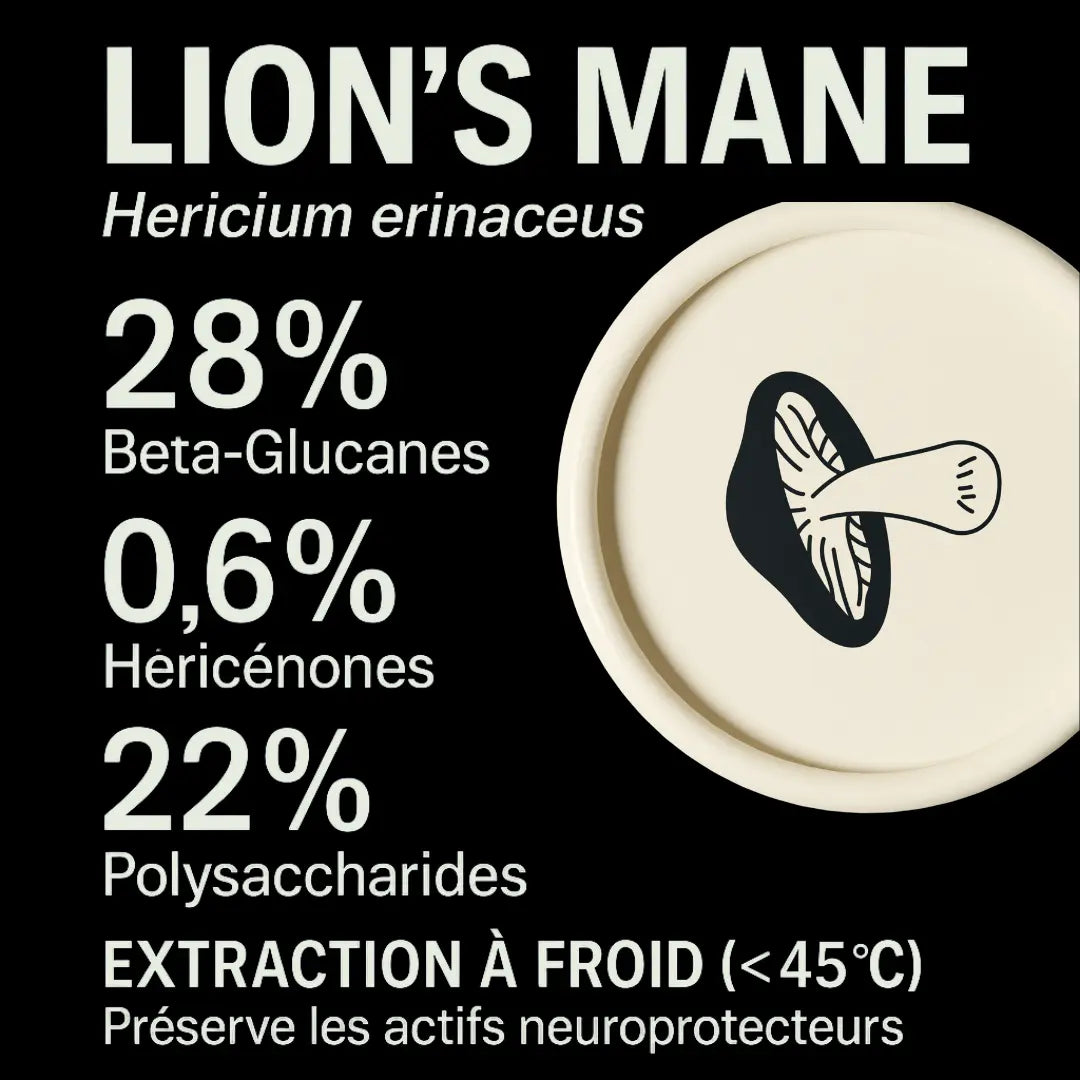 Gummies au Lion's Mane  •  FOCUS+ SporeLife