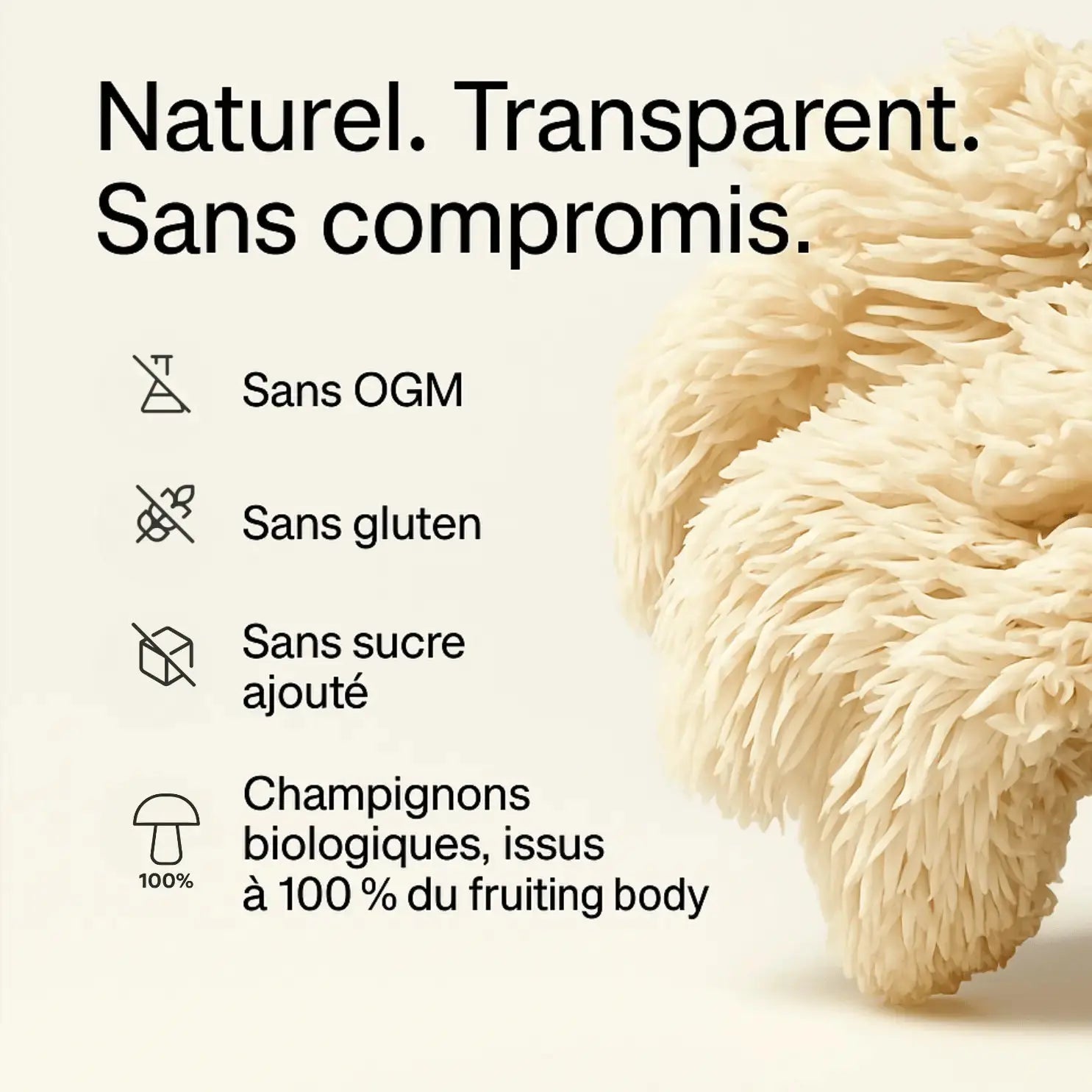 Gummies au Lion's Mane  •  FOCUS+ SporeLife