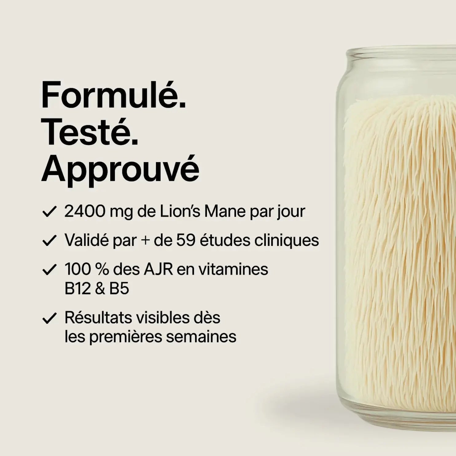 Gummies au Lion's Mane  •  FOCUS+ SporeLife