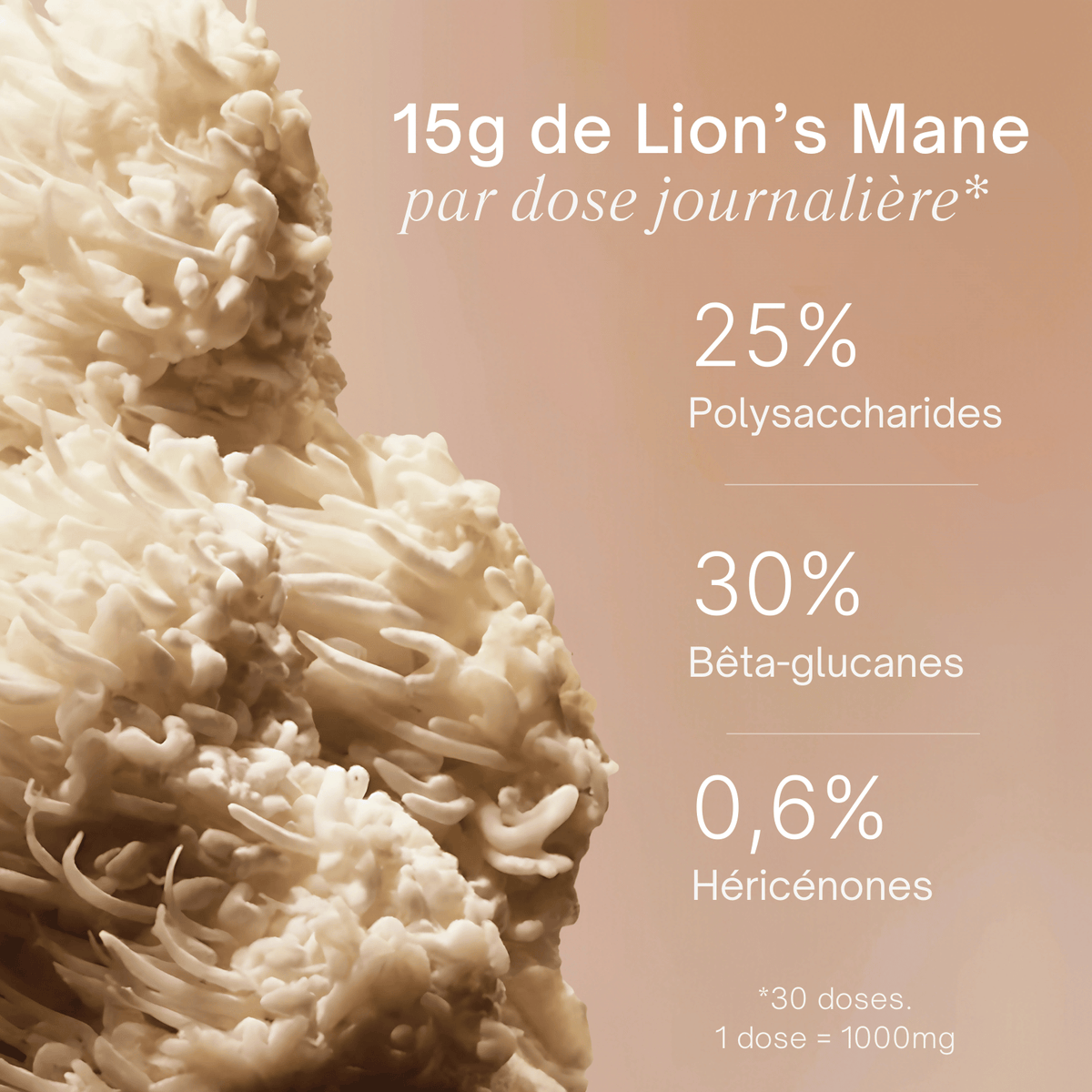 Gummies au Lion's Mane