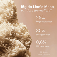Gummies au Lion's Mane