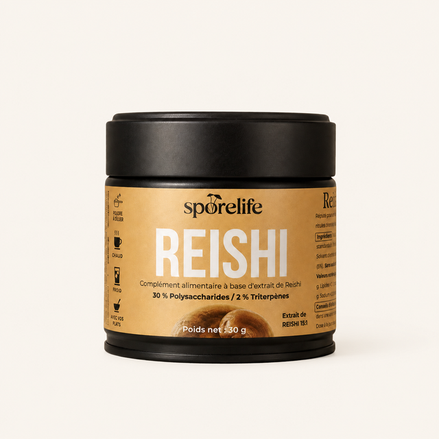 Reishi extrait 15:1