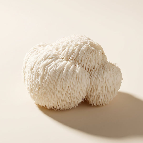 Lion's Mane