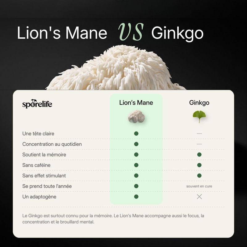 Lion’s Mane - Extrait en poudre 5