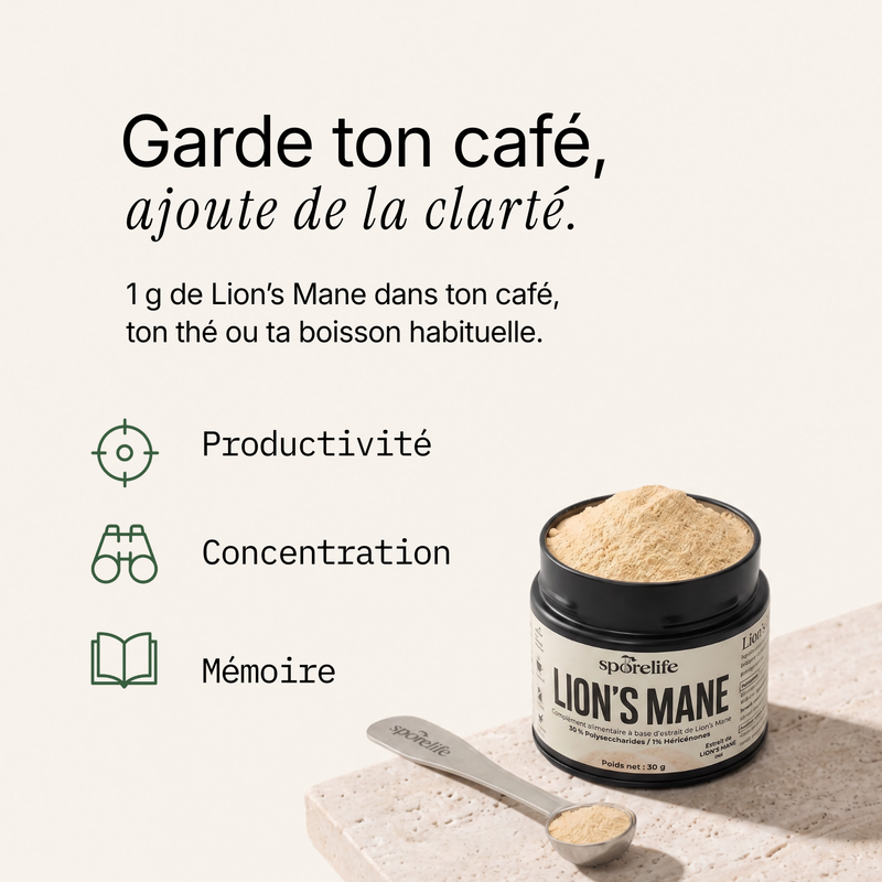 Lion’s Mane - Extrait en poudre 3