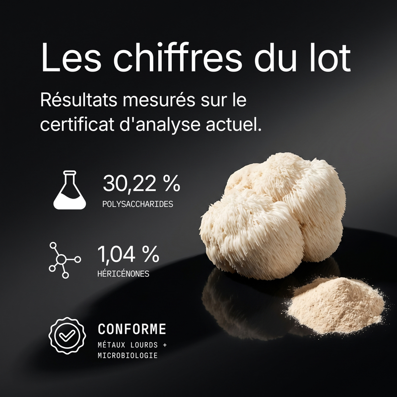 Lion’s Mane - Extrait en poudre 9