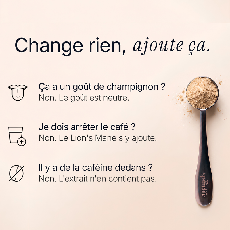 Lion’s Mane - Extrait en poudre 7