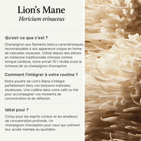 Lion’s Mane - Extrait en poudre