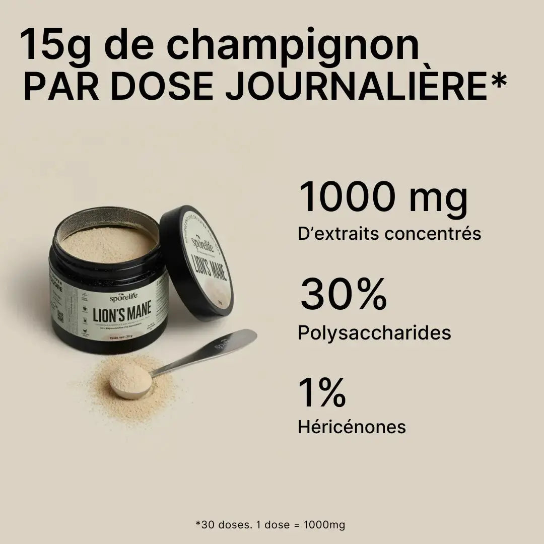 Lion’s Mane en poudre – Extrait 15:1 SporeLife