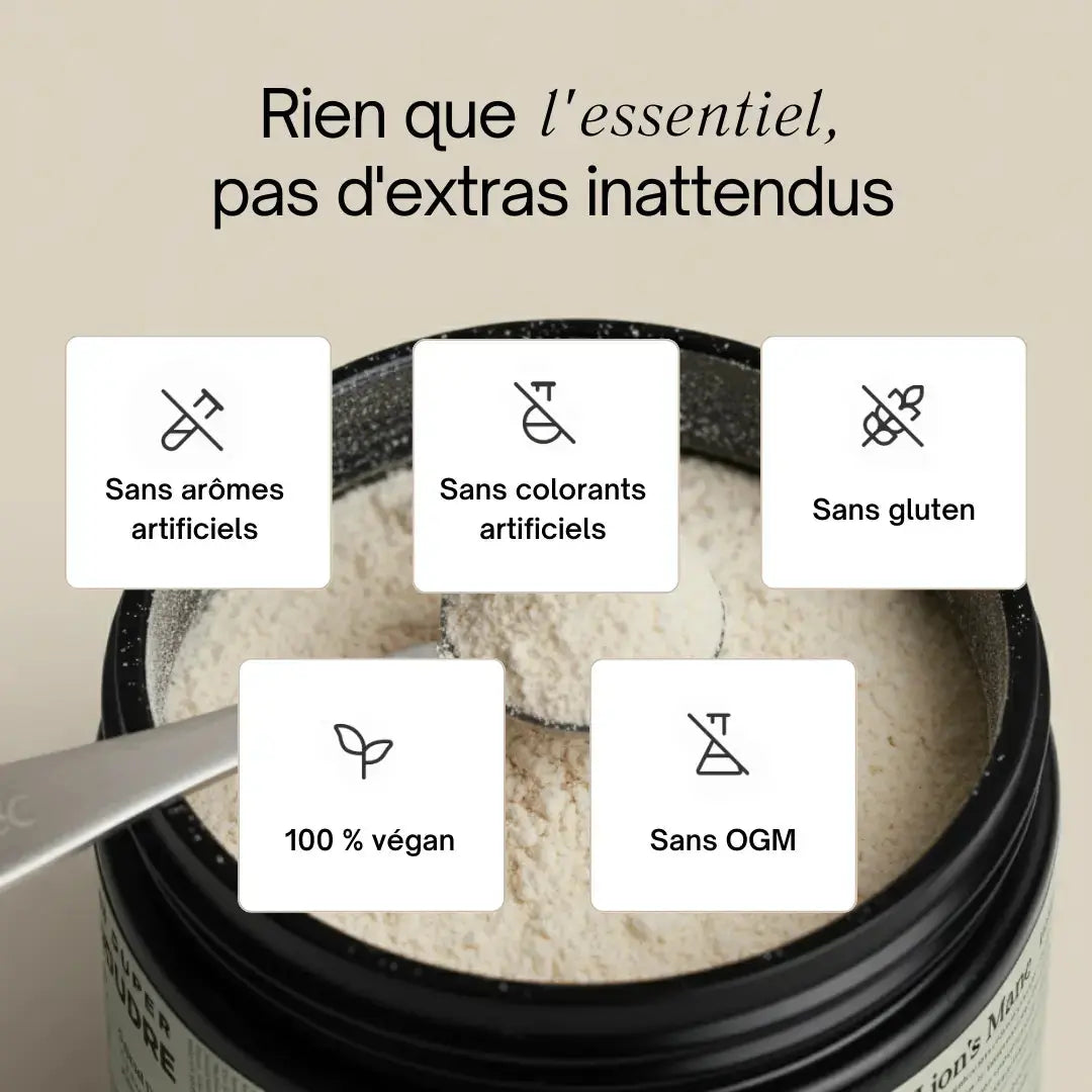 Lion’s Mane en poudre – Extrait 15:1 SporeLife