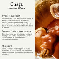 Reishi en poudre – Extrait 15:1