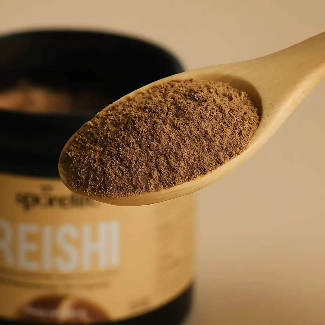 Reishi en poudre – Extrait 15:1 SporeLife