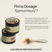 Reishi - Extrait en poudre