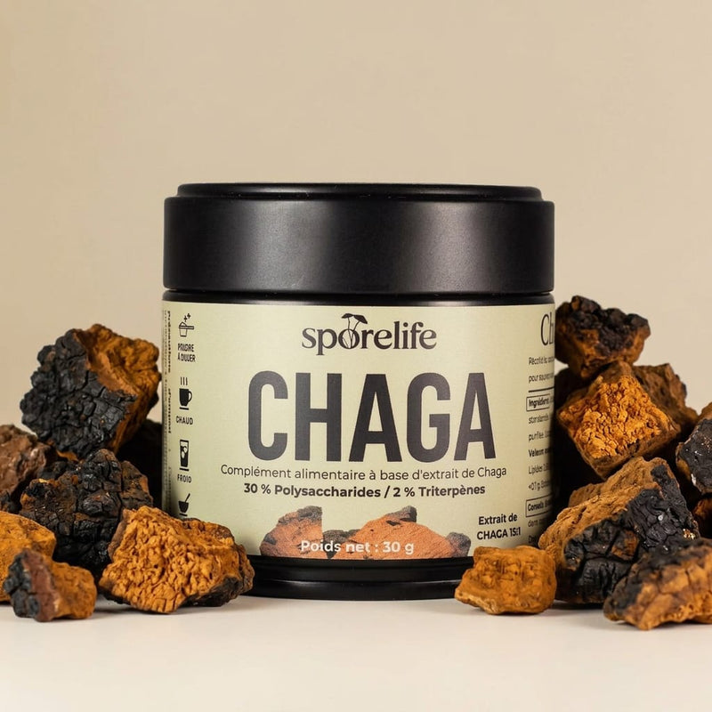 Chaga - Extrait en poudre