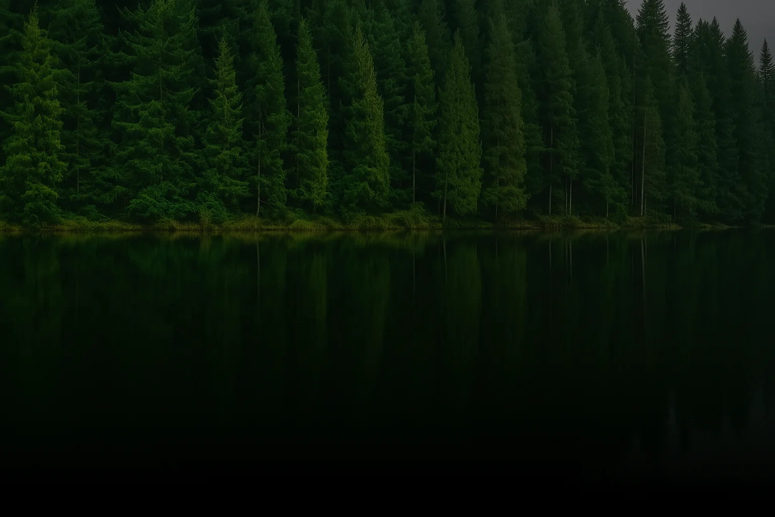 c4a2001e b004 41c3 8266 d5250271d285 sporelife