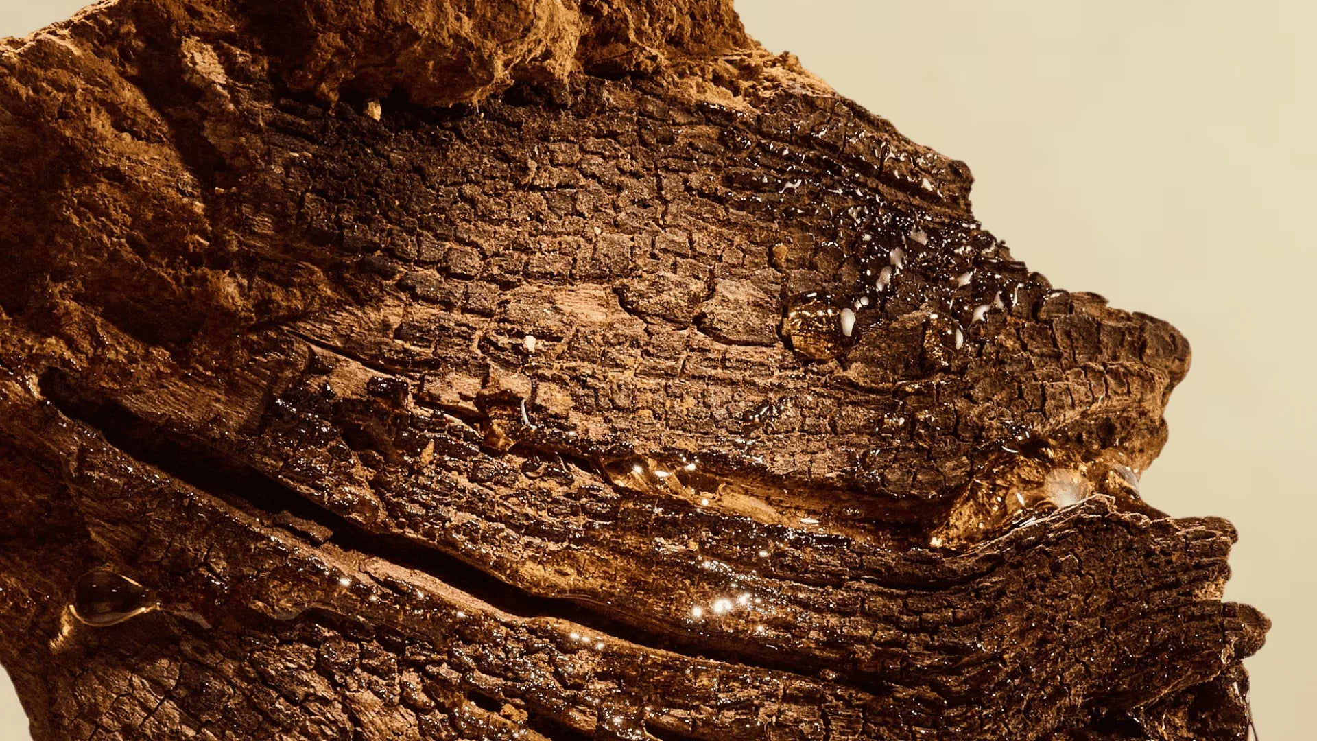 Le Chaga