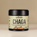 Chaga - Extrait en poudre