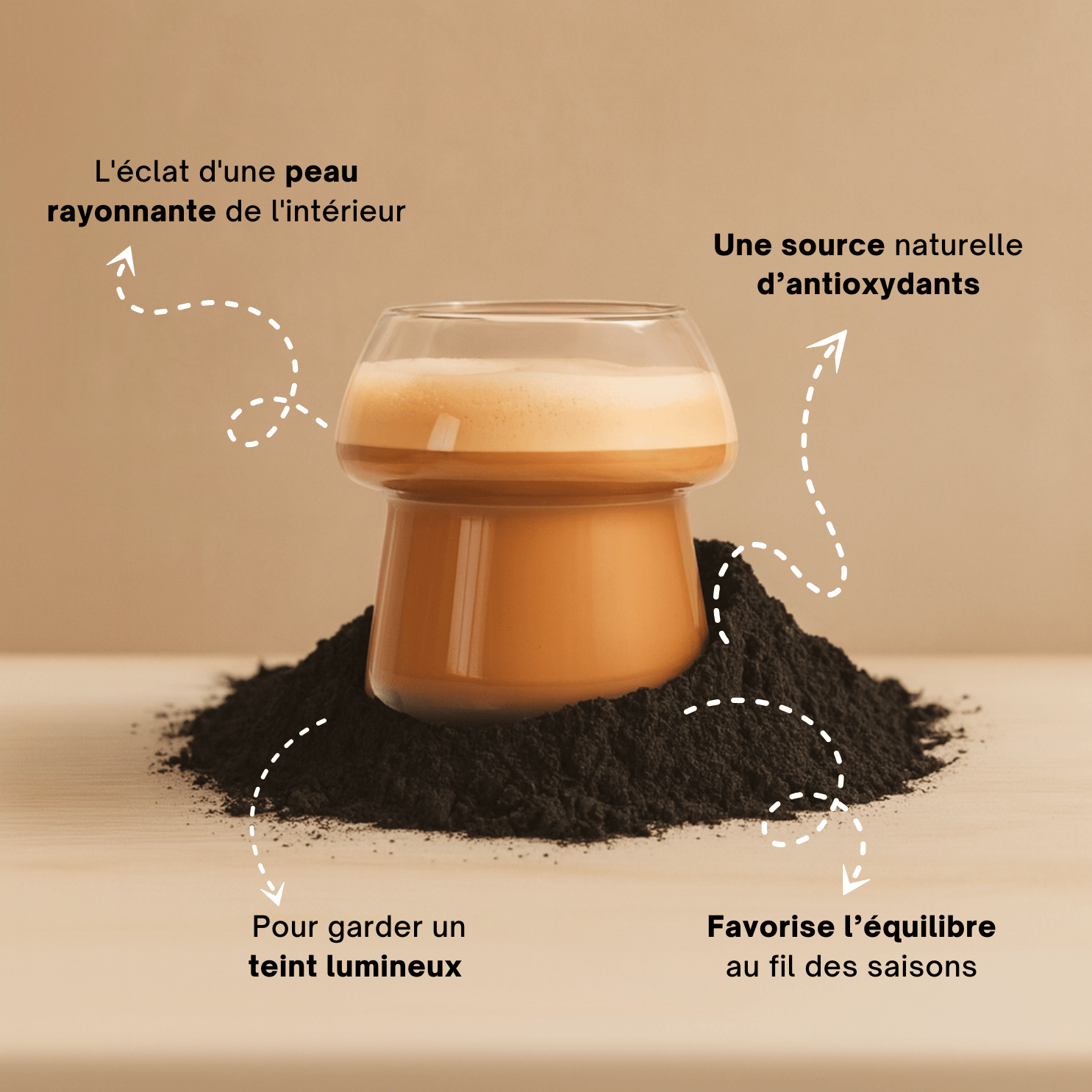 Chaga - Extrait en poudre