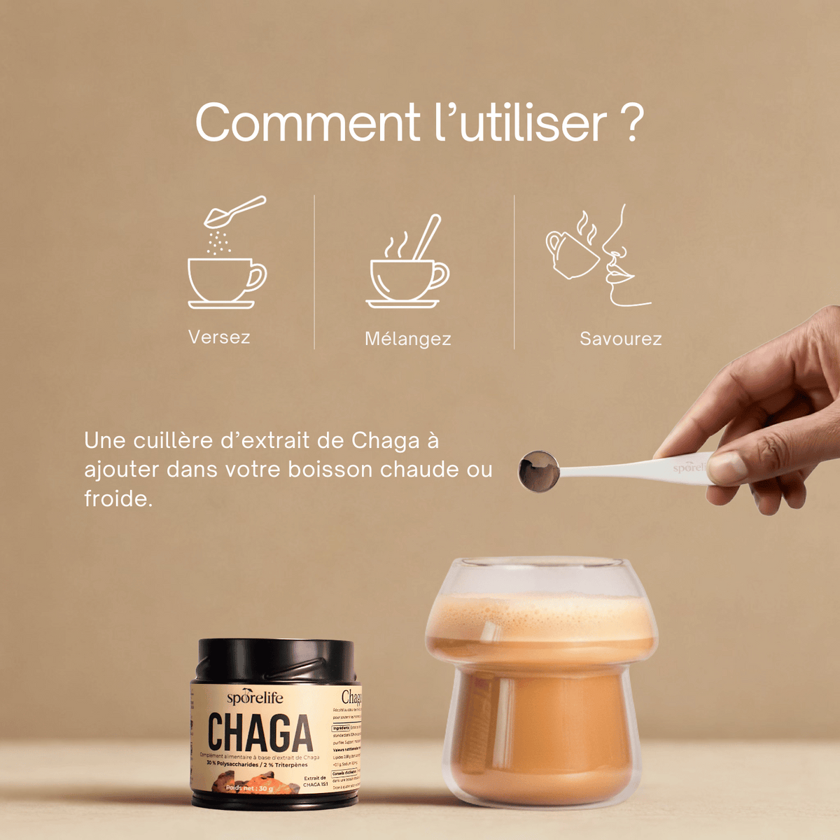 Chaga - Extrait en poudre