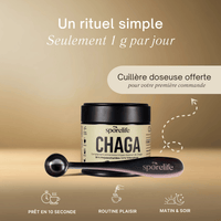 Chaga - Extrait en poudre
