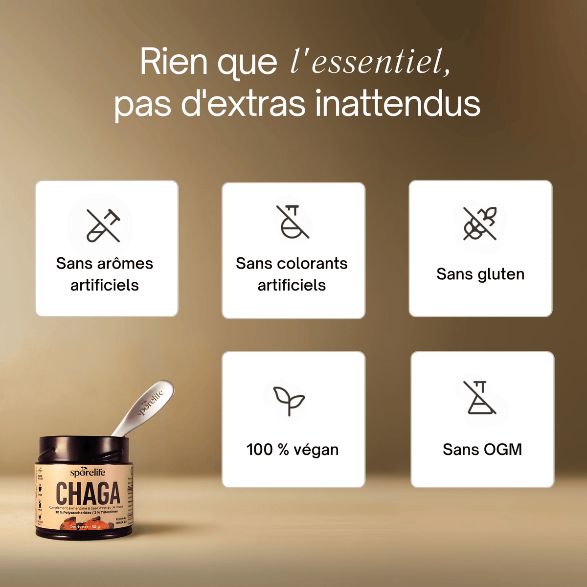 Chaga - Extrait en poudre