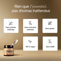 Chaga - Extrait en poudre