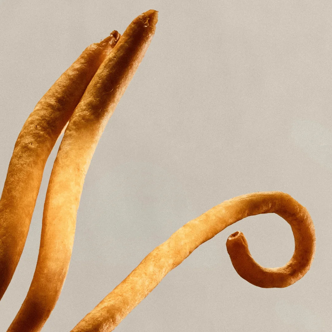 Cordyceps