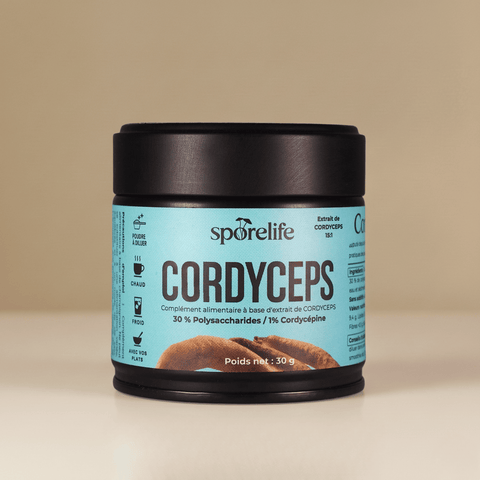 Cordyceps - Extrait en poudre