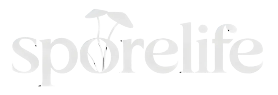 design sans titre 10 acc16977 a7a1 477f a2d9 1842af9e2b0b sporelife