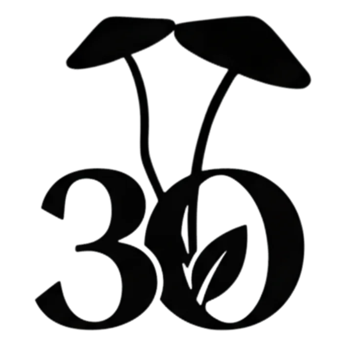 extrait champignons sporelife 87 sporelife