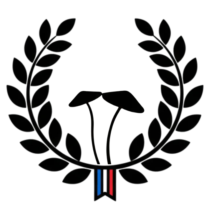 extrait champignons sporelife 89 sporelife