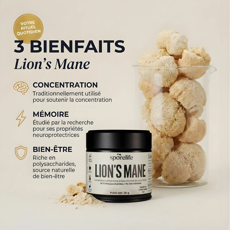 Lion’s Mane - Extrait en poudre 2