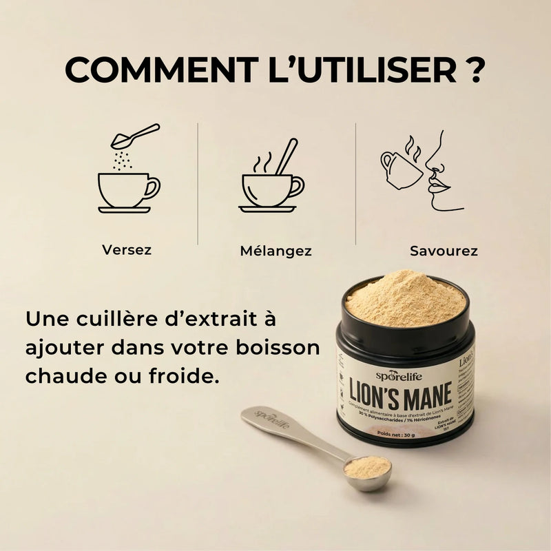Lion’s Mane - Extrait en poudre 4
