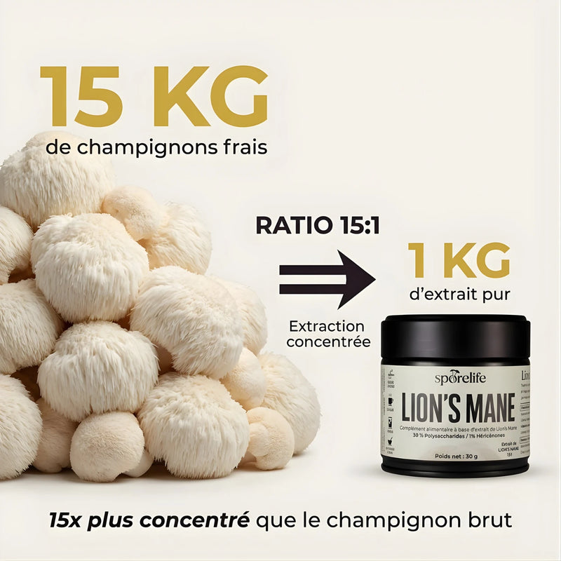 Lion’s Mane - Extrait en poudre 6