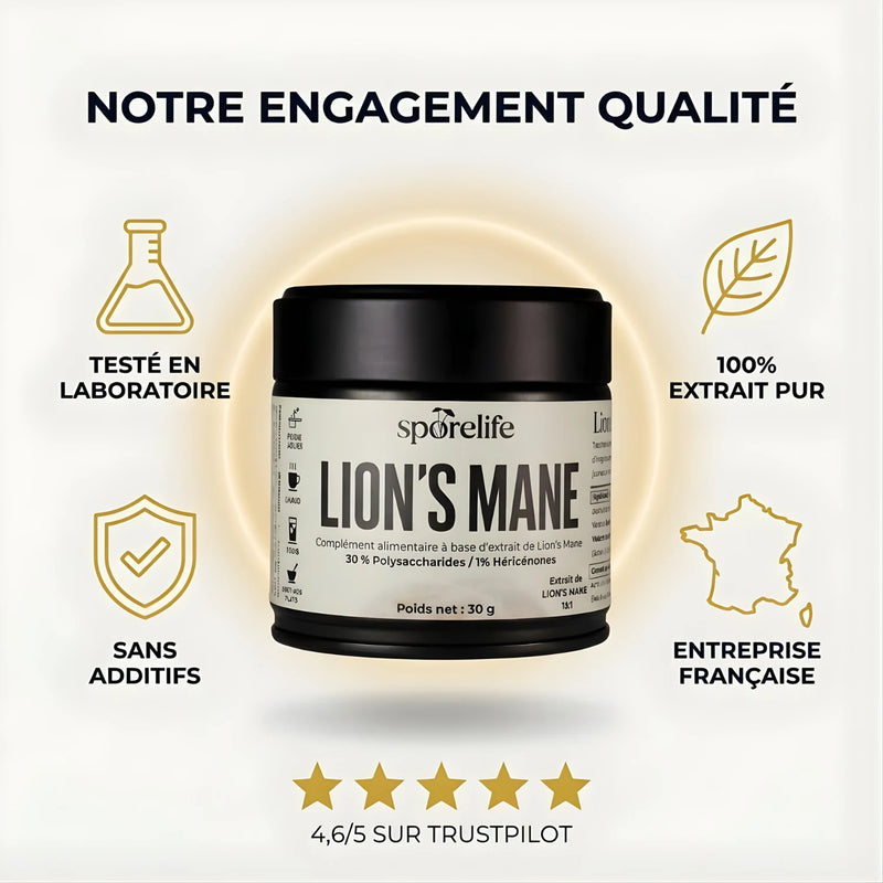 Lion’s Mane - Extrait en poudre 7