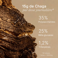 Gummies au Chaga