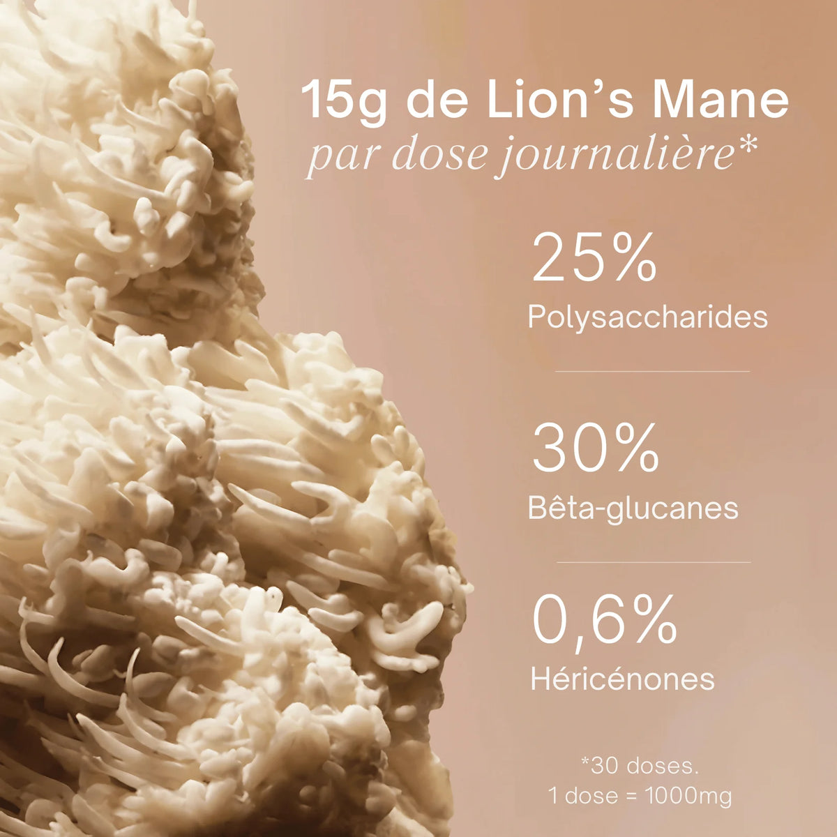 Champignon Lion's Mane frais avec dosage - 25% polysaccharides 30% bêta-glucanes 0,6% héricénones