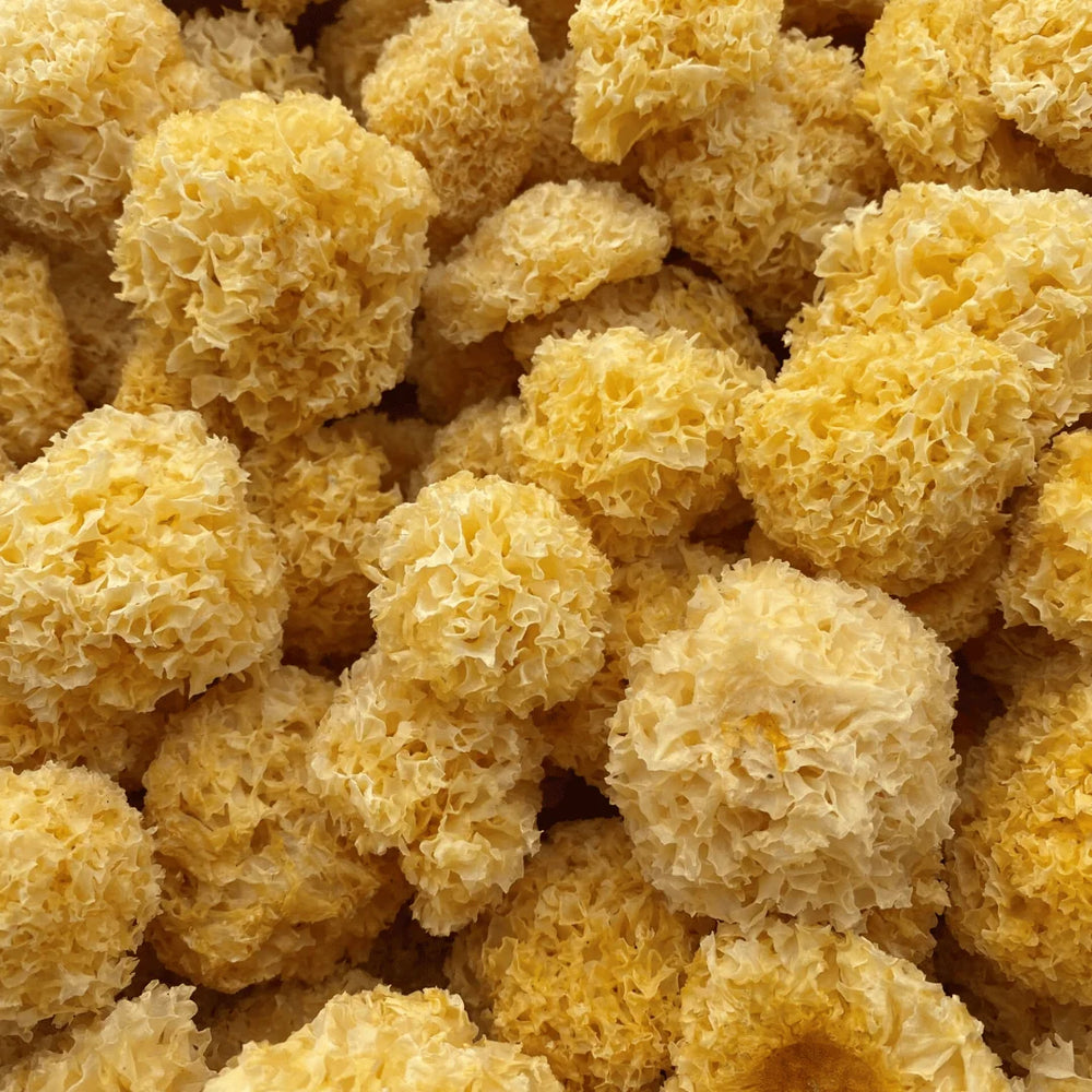 les bienfaits du tremella sur la peau hydratation sporelife