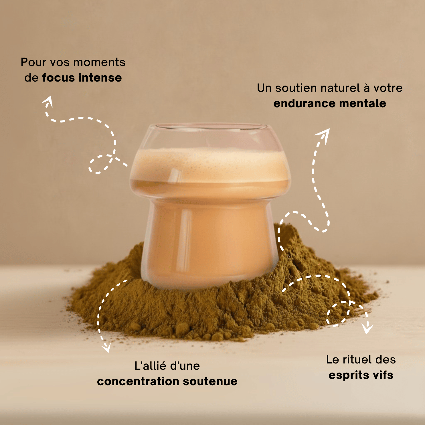Lion’s Mane - Extrait en poudre