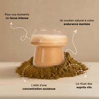 Lion’s Mane - Extrait en poudre