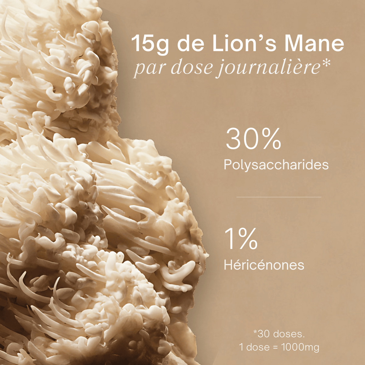 Lion’s Mane - Extrait en poudre