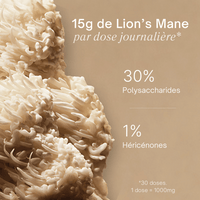 Lion’s Mane - Extrait en poudre