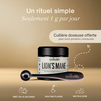 Lion’s Mane - Extrait en poudre
