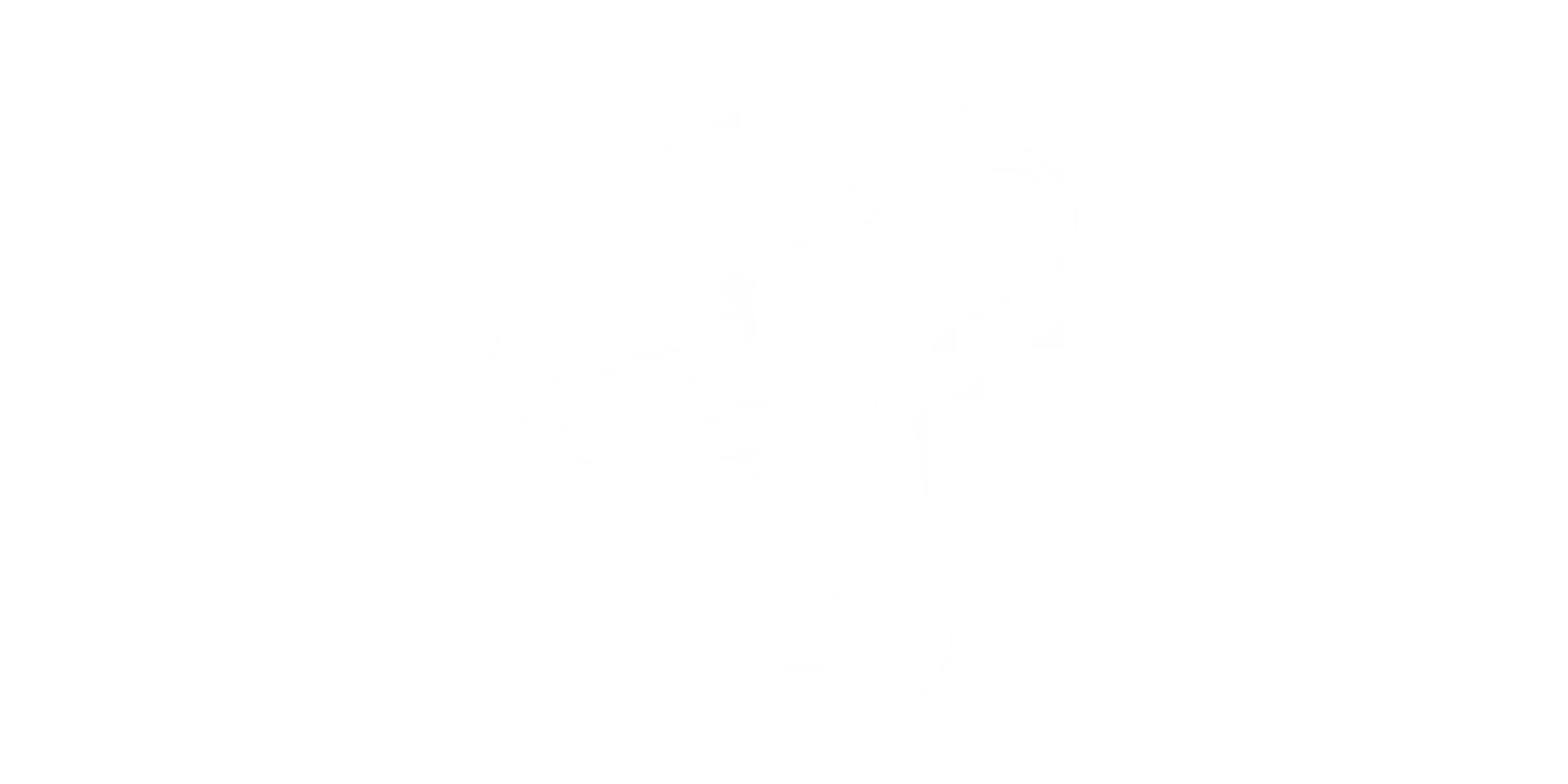 logo test grande mail sporelife