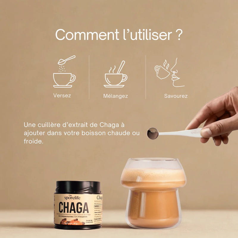 Chaga - Extrait en poudre 3