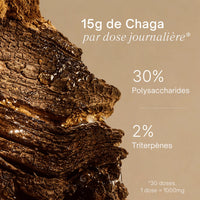 Chaga - Extrait en poudre