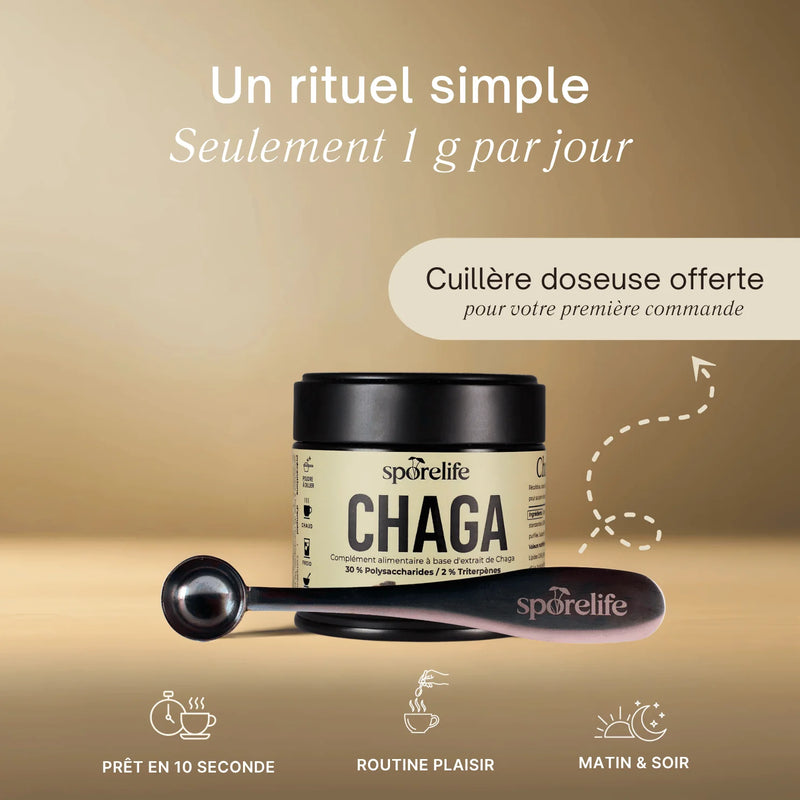 Chaga - Extrait en poudre 7