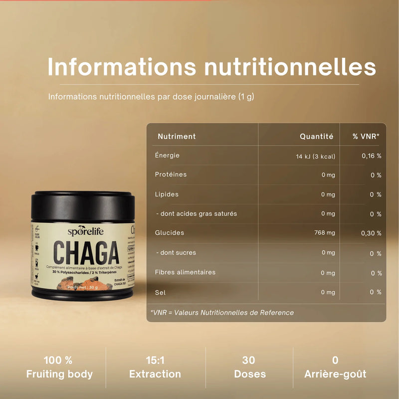 Chaga - Extrait en poudre 8