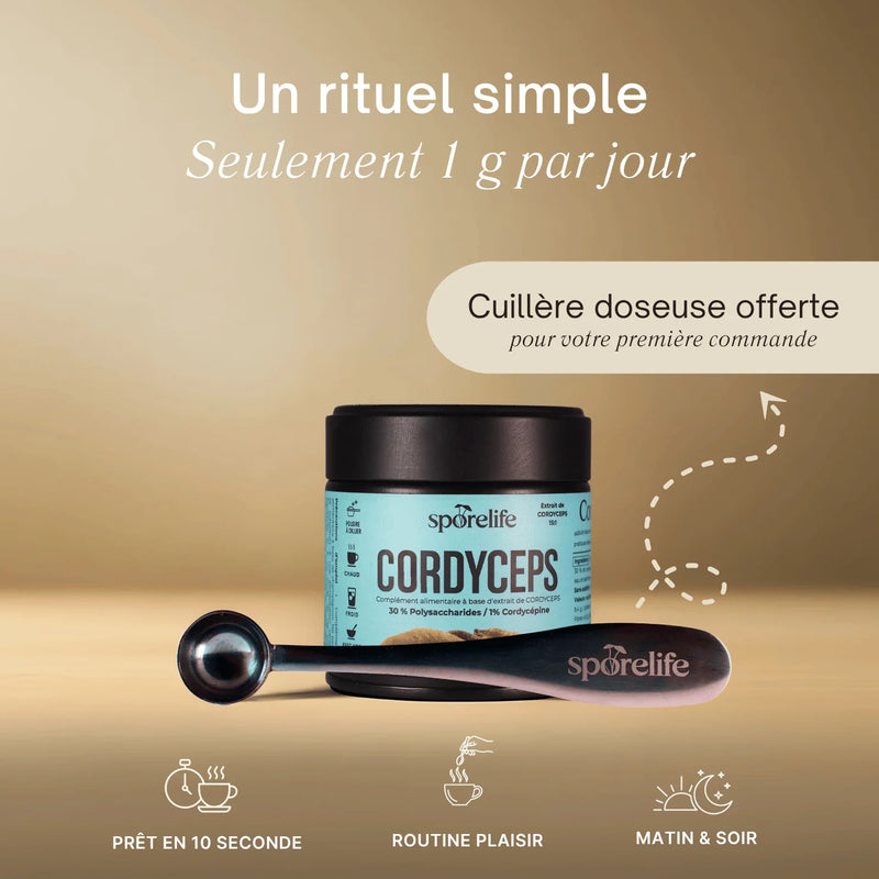 Cordyceps - Extrait en poudre 7